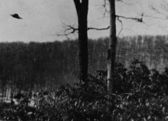 May be aliens do exist? (154 pics)