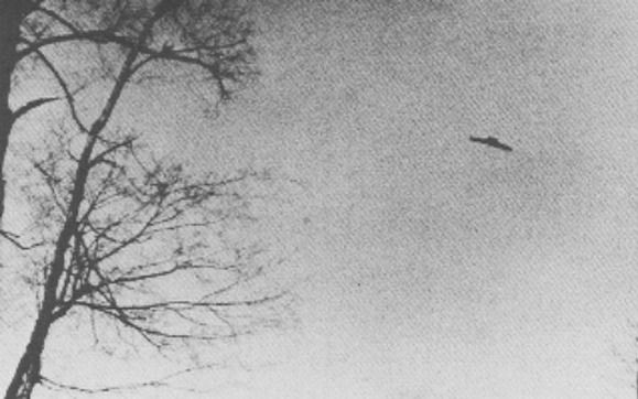 May be aliens do exist? (154 pics)