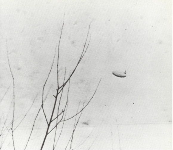 May be aliens do exist? (154 pics)