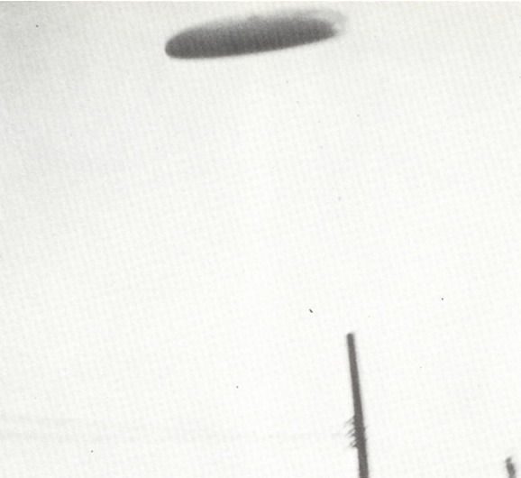 May be aliens do exist? (154 pics)