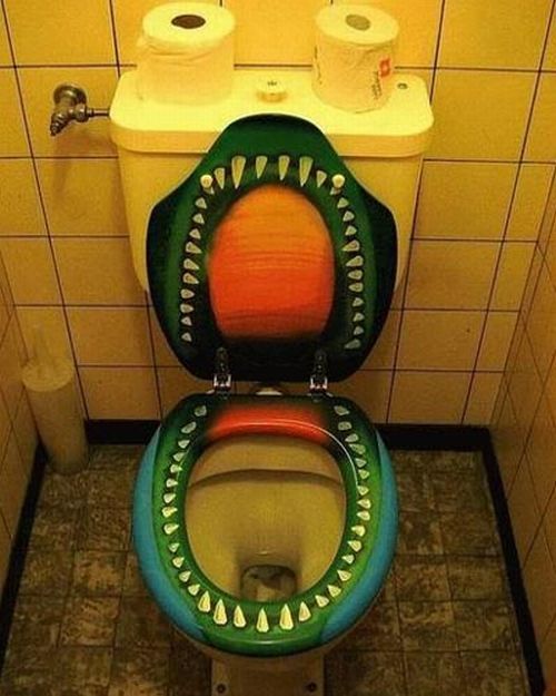 The most unusual toilets (14 photos)