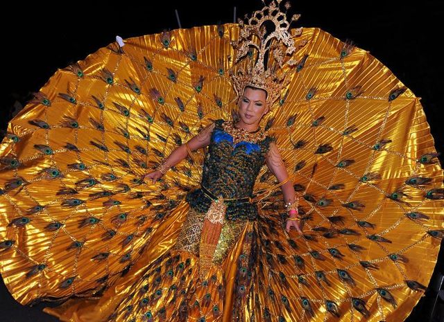 31st Gay and Lesbian Mardi Gras in Sydney (37 pics)