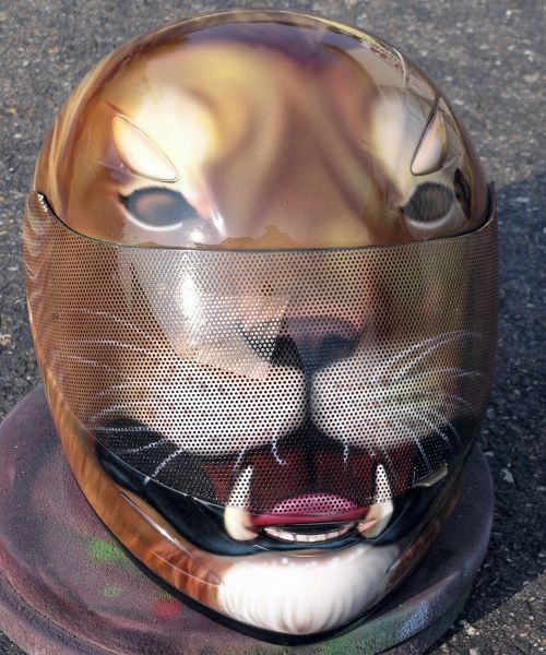 Streetbikers would love it (44 pics)