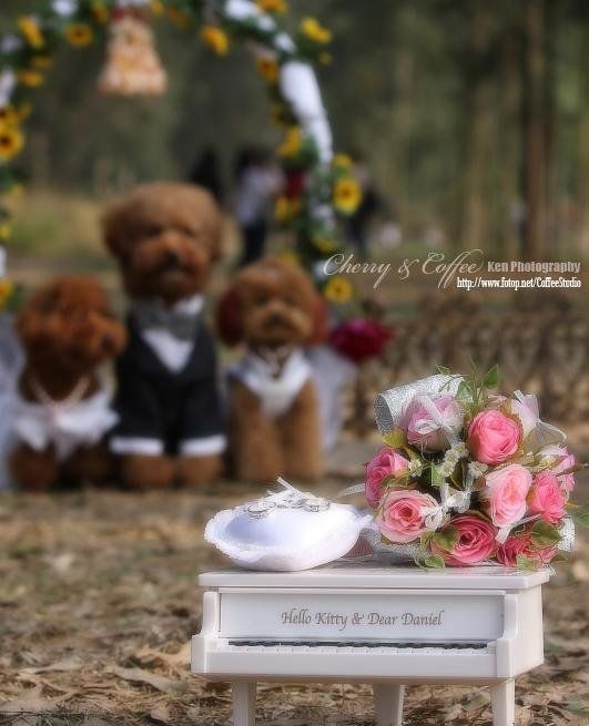 Wedding – it’s so beautiful!!! (19 pics)