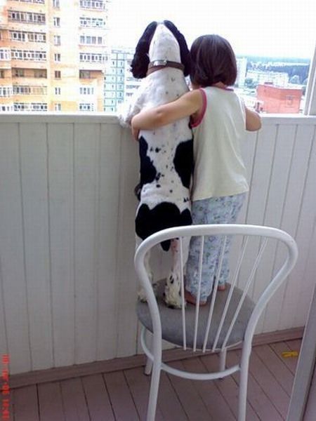 These funny animals (44 pics)