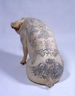 Curiosities and bonus pictures