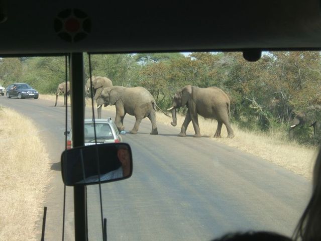 Kruger National Park (52 pics)
