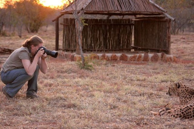 Kruger National Park (52 pics)