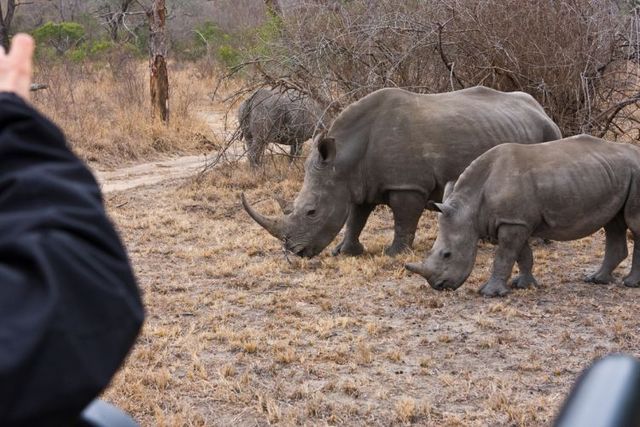 Kruger National Park (52 pics)