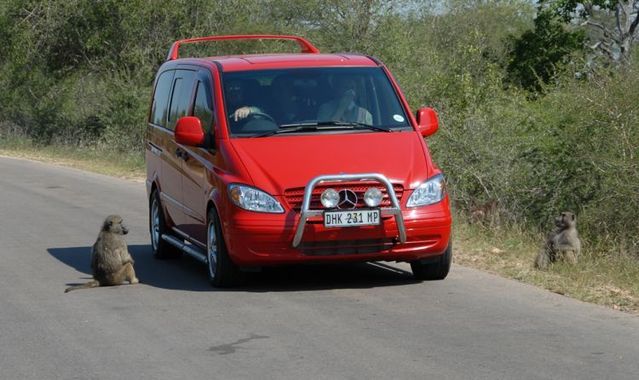 Kruger National Park (52 pics)