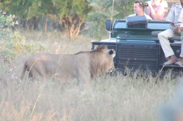 Kruger National Park (52 pics)
