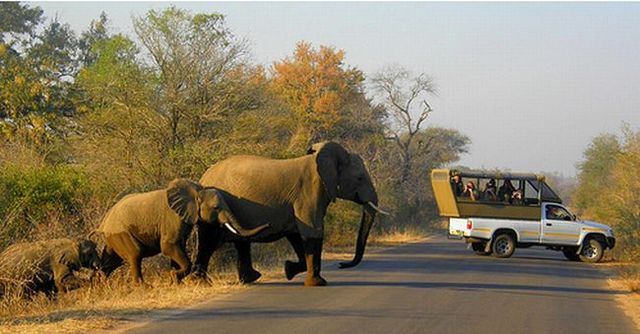 Kruger National Park (52 pics)
