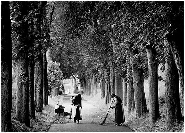 Wonderful world (73 pics)