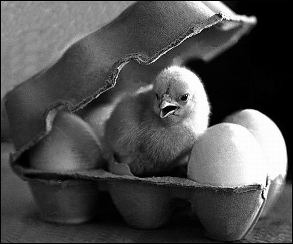 Wonderful world (73 pics)