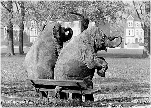 Wonderful world (73 pics)