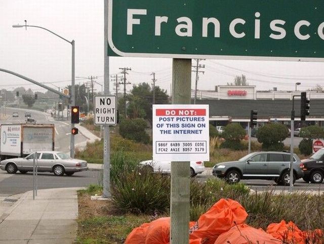 Daily picdump (83 pics)