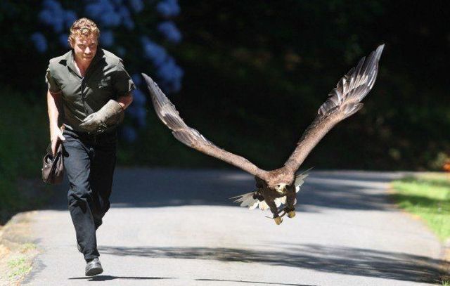 Daily picdump (83 pics)