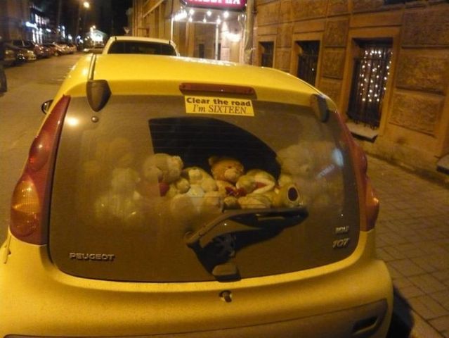 Daily picdump (83 pics)