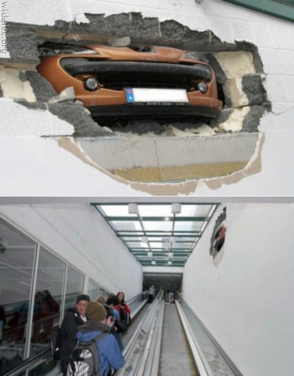 Daily picdump (83 pics)