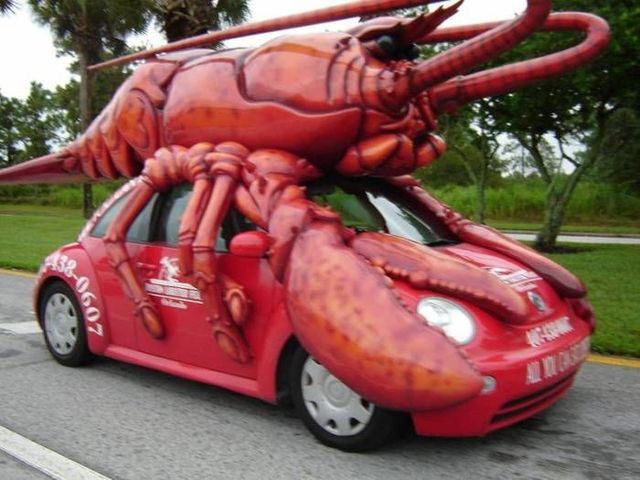 Daily picdump (83 pics)
