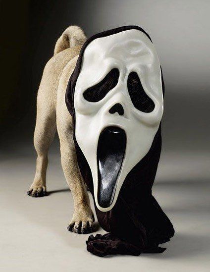 Daily picdump (79 pics)