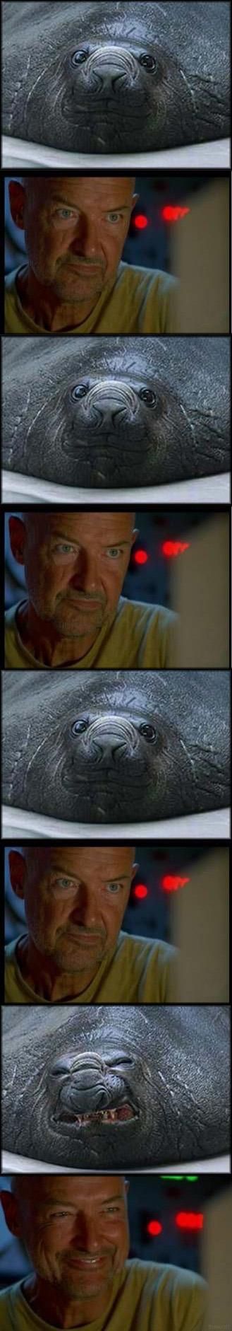 Daily picdump (79 pics)