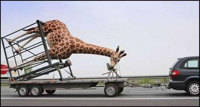 Daily picdump (79 pics)