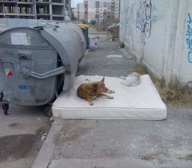 Daily picdump (79 pics)