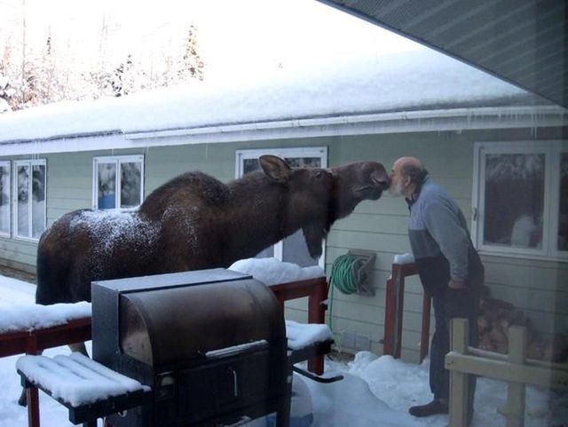 Daily picdump (79 pics)