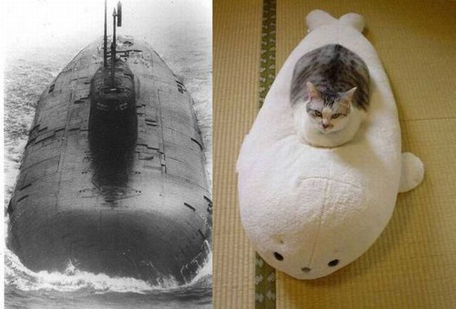 Daily picdump (79 pics)