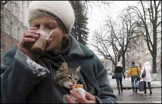 These funny animals (59 pics)