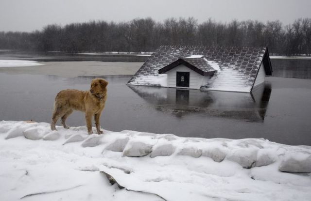 Red River flooding (30 pics)