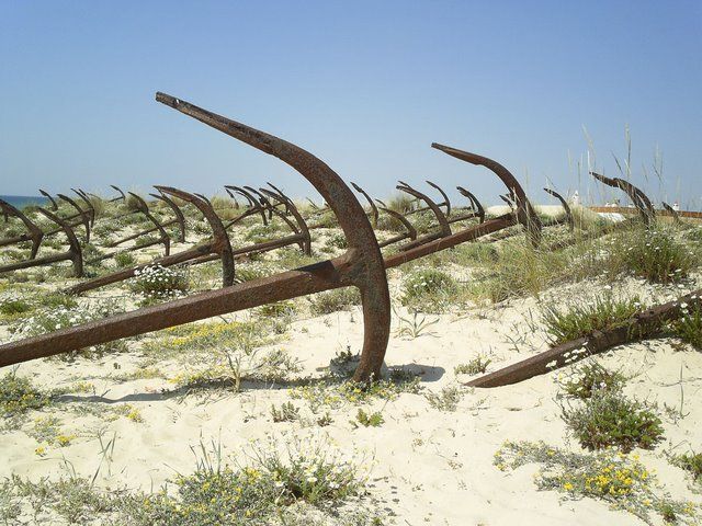 Abandoned and forgotten (70 pics)
