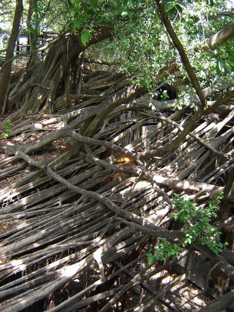 Abandoned and forgotten (70 pics)