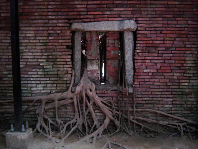 Abandoned and forgotten (70 pics)