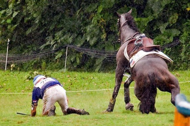 Daily picdump (89 pics)