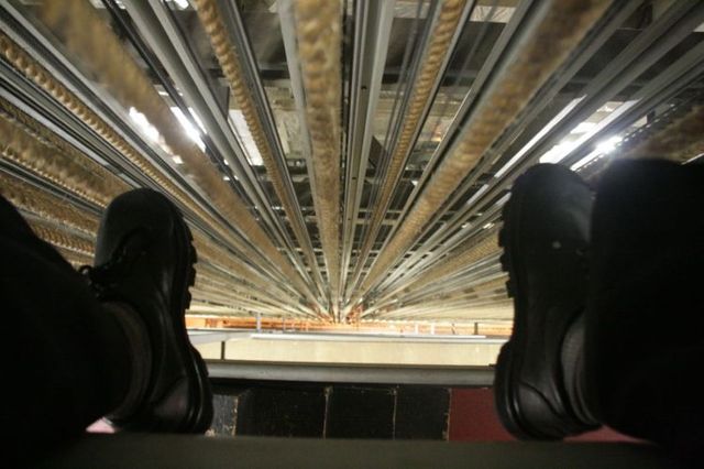 Looking down…(21 pics)