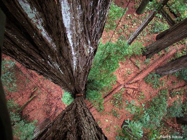 Looking down…(21 pics)