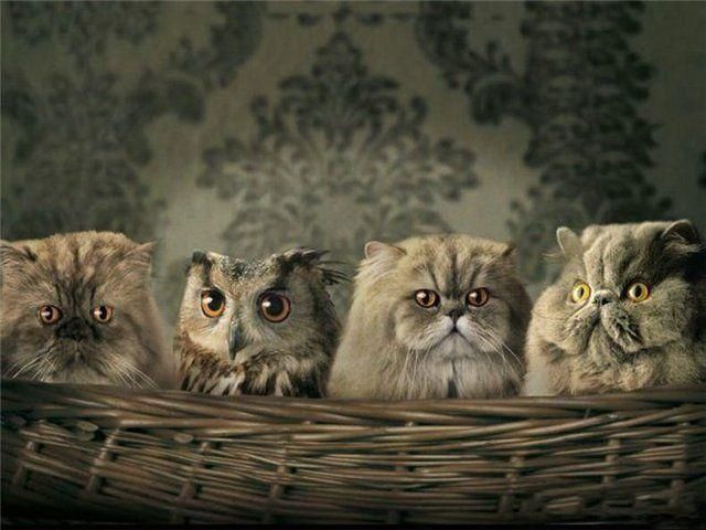 Daily picdump (73 pics)