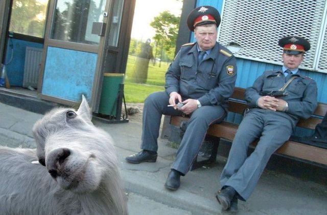 Daily picdump (73 pics)