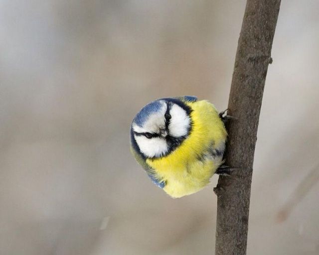 Daily picdump (73 pics)