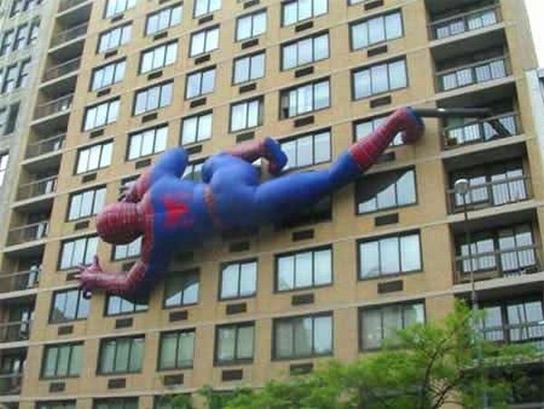 Daily picdump (73 pics)