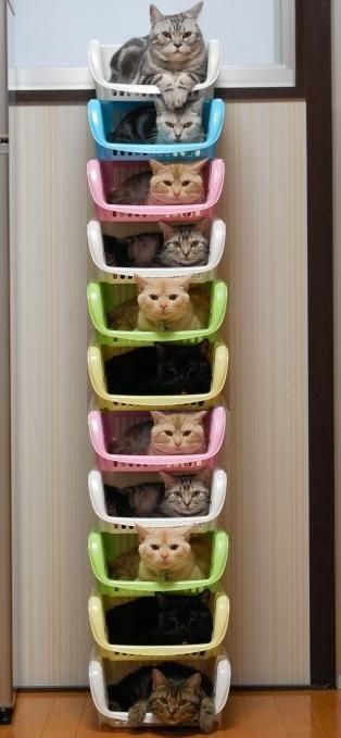 Daily picdump (73 pics)
