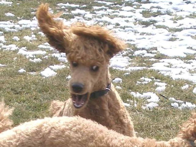 Daily picdump (73 pics)