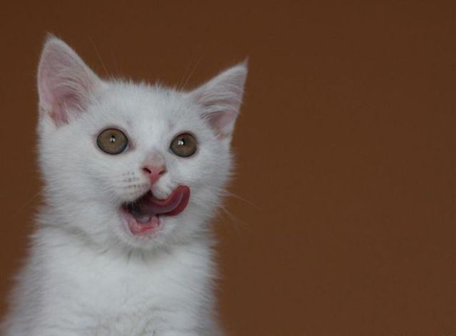 Daily picdump (73 pics)