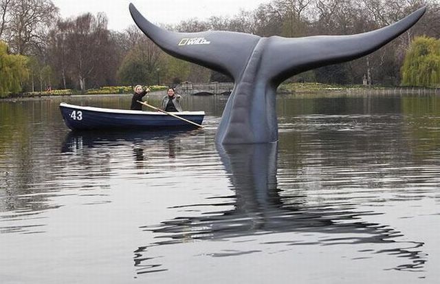 Daily picdump (73 pics)