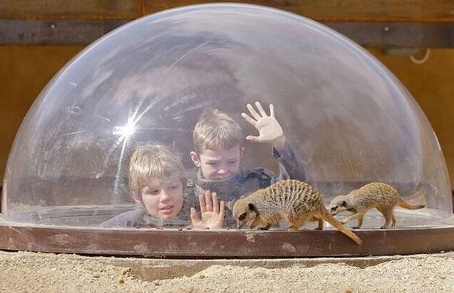 Daily picdump (73 pics)