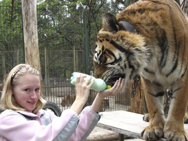 Caress me if you can ... (38 pics)