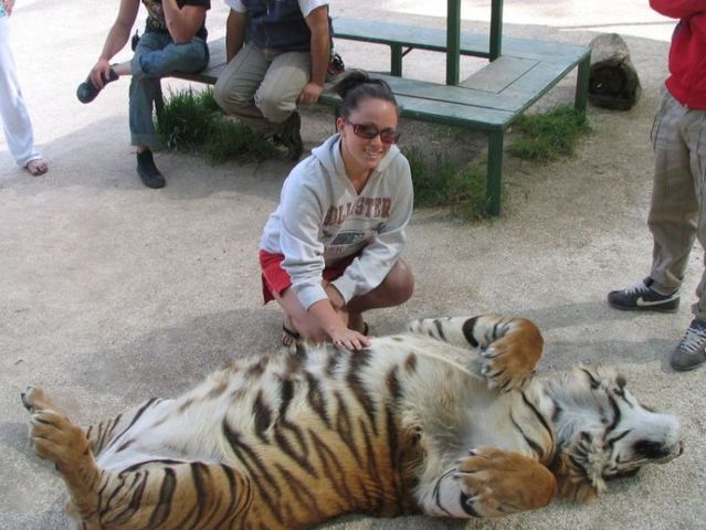Caress me if you can ... (38 pics)