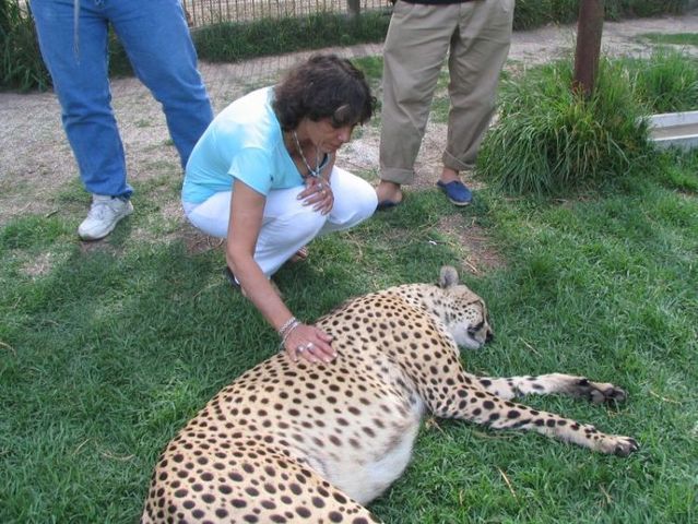 Caress me if you can ... (38 pics)